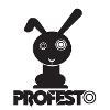 Copyright of Profesto LTD